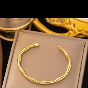 Stainless steel gold bangle